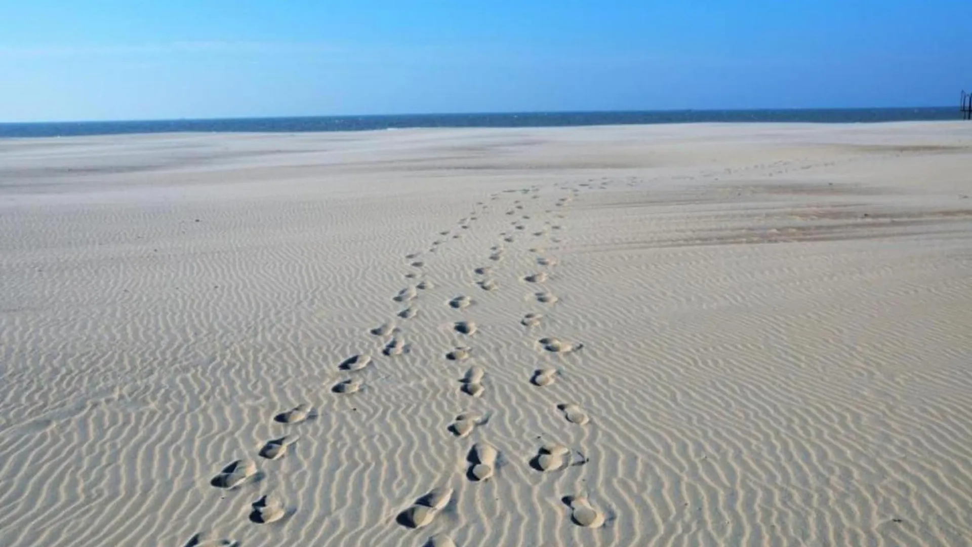 Ground Floor Apartment In Ostend Near The Sea 벨기에