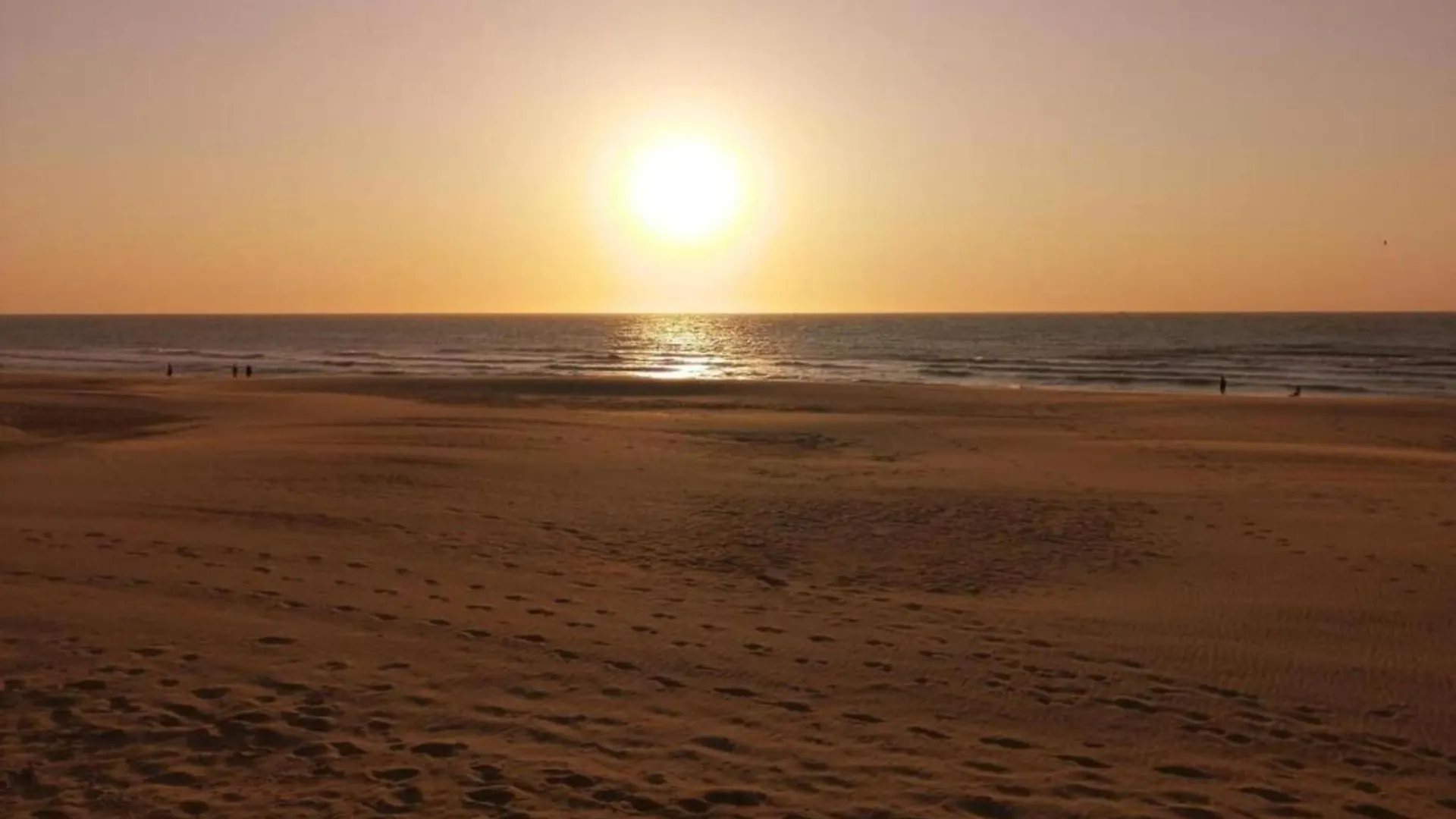 Ground Floor Apartment In Ostend Near The Sea
