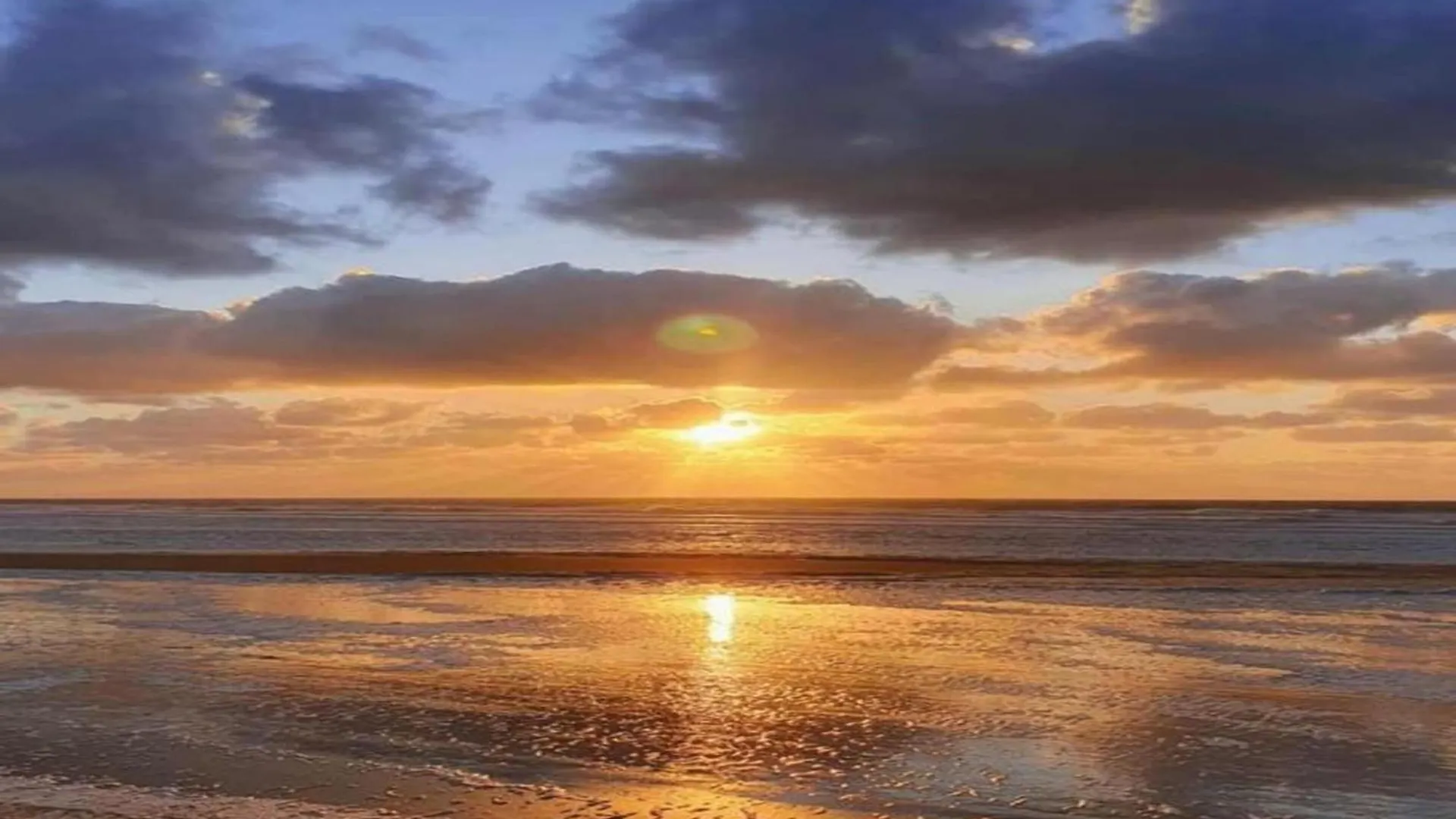 Ground Floor Apartment In Ostend Near The Sea